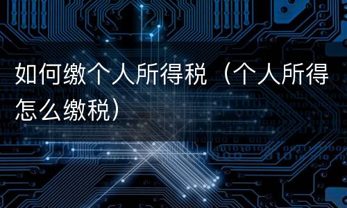 如何缴个人所得税（个人所得怎么缴税）