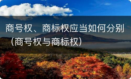 商号权、商标权应当如何分别（商号权与商标权）