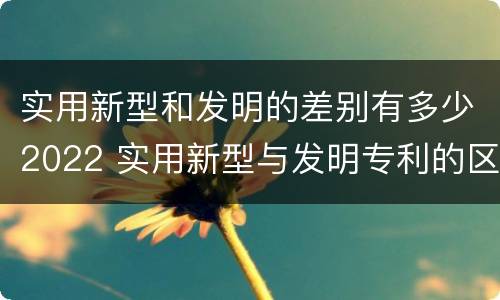 实用新型和发明的差别有多少2022 实用新型与发明专利的区别有哪些