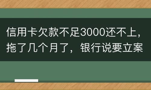 信用卡欠款不足3000还不上，拖了几个月了，银行说要立案，会坐牢吗