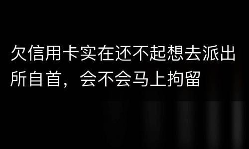欠信用卡实在还不起想去派出所自首，会不会马上拘留