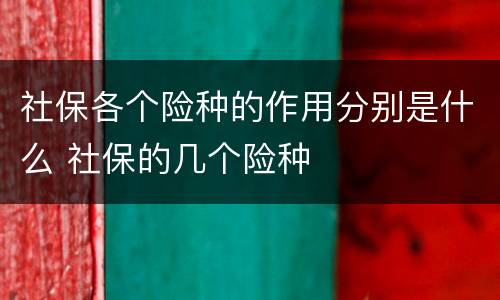 社保各个险种的作用分别是什么 社保的几个险种