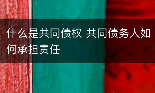 什么是共同债权 共同债务人如何承担责任