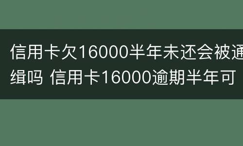 信用卡欠16000半年未还会被通缉吗 信用卡16000逾期半年可以协商分期还款吗