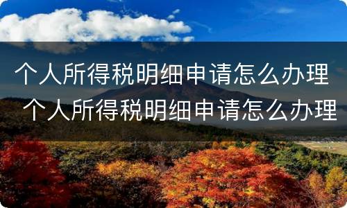 个人所得税明细申请怎么办理 个人所得税明细申请怎么办理手续