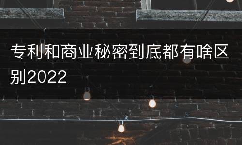 专利和商业秘密到底都有啥区别2022
