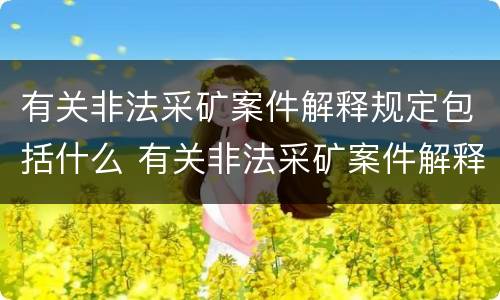 有关非法采矿案件解释规定包括什么 有关非法采矿案件解释规定包括什么内容