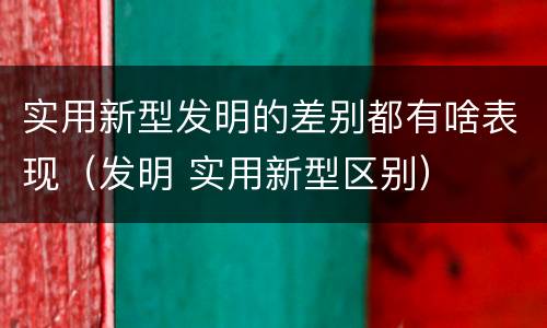 实用新型发明的差别都有啥表现（发明 实用新型区别）