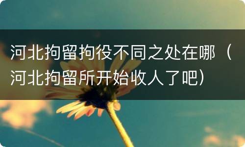 河北拘留拘役不同之处在哪（河北拘留所开始收人了吧）