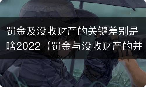 罚金及没收财产的关键差别是啥2022（罚金与没收财产的并罚）
