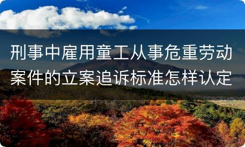 刑事中雇用童工从事危重劳动案件的立案追诉标准怎样认定