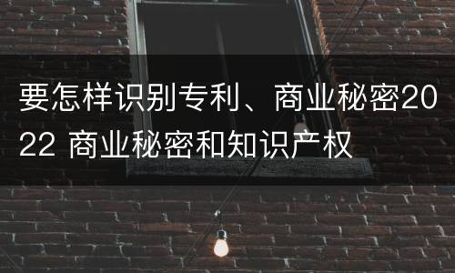 要怎样识别专利、商业秘密2022 商业秘密和知识产权
