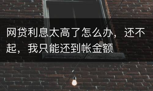 网贷利息太高了怎么办，还不起，我只能还到帐金额