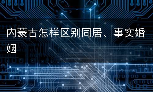 内蒙古怎样区别同居、事实婚姻