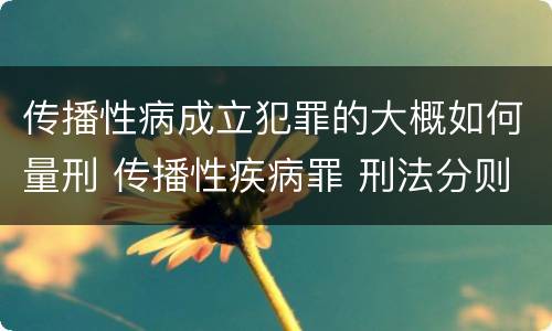 传播性病成立犯罪的大概如何量刑 传播性疾病罪 刑法分则