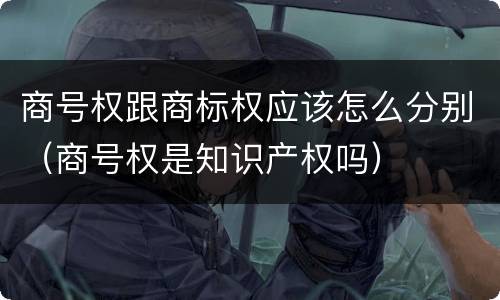 商号权跟商标权应该怎么分别（商号权是知识产权吗）