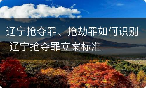 辽宁抢夺罪、抢劫罪如何识别 辽宁抢夺罪立案标准