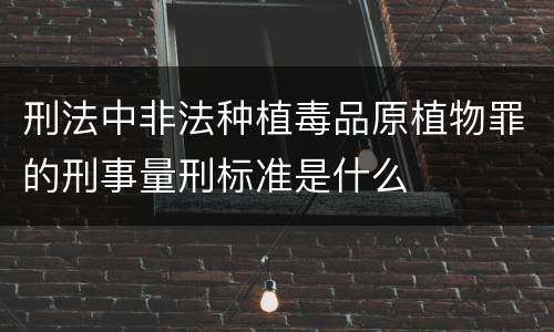 刑法中非法种植毒品原植物罪的刑事量刑标准是什么