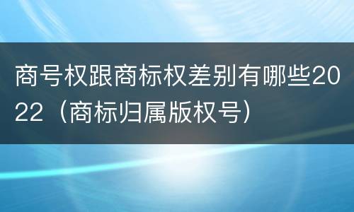 商号权跟商标权差别有哪些2022（商标归属版权号）