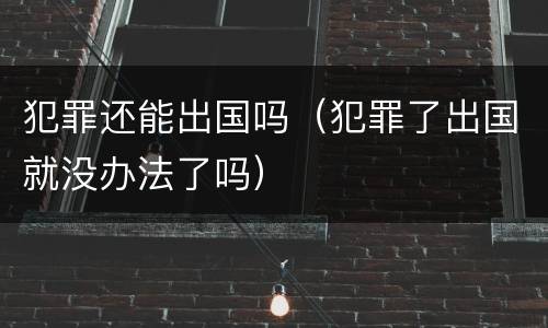 犯罪还能出国吗（犯罪了出国就没办法了吗）
