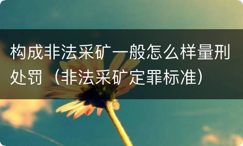 构成非法采矿一般怎么样量刑处罚（非法采矿定罪标准）