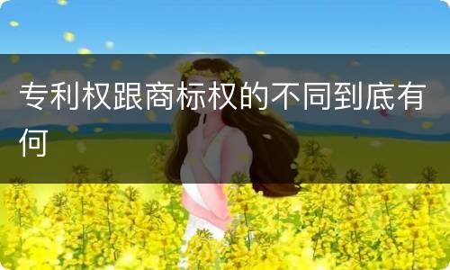 专利权跟商标权的不同到底有何