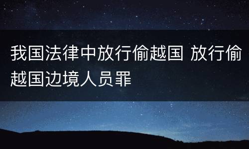 我国法律中放行偷越国 放行偷越国边境人员罪