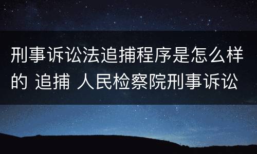 刑事诉讼法追捕程序是怎么样的 追捕 人民检察院刑事诉讼规则