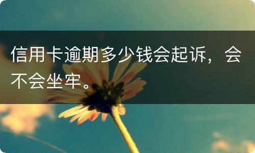 信用卡逾期多少钱会起诉，会不会坐牢。