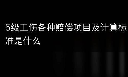 5级工伤各种赔偿项目及计算标准是什么