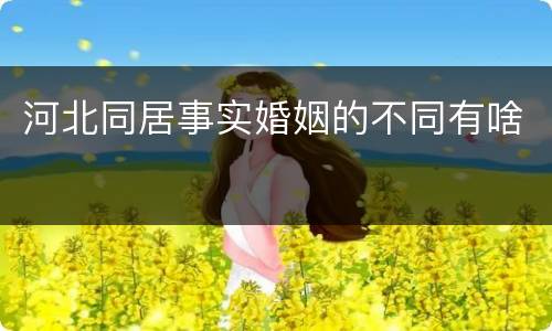 河北同居事实婚姻的不同有啥