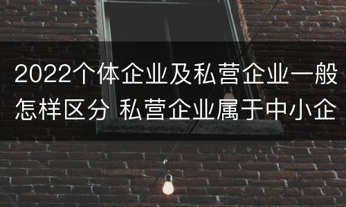 2022个体企业及私营企业一般怎样区分 私营企业属于中小企业吗