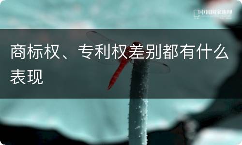 商标权、专利权差别都有什么表现