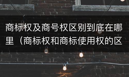 商标权及商号权区别到底在哪里（商标权和商标使用权的区别）