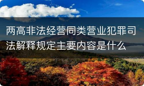 两高非法经营同类营业犯罪司法解释规定主要内容是什么