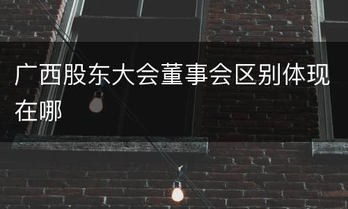 广西股东大会董事会区别体现在哪