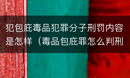 犯包庇毒品犯罪分子刑罚内容是怎样（毒品包庇罪怎么判刑）