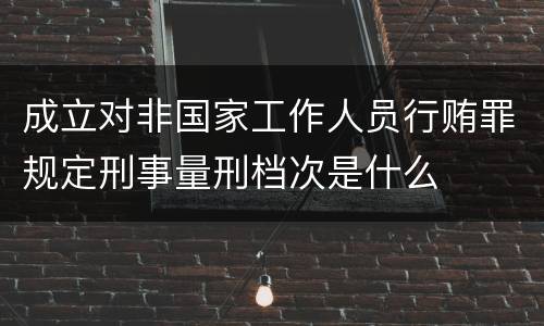 成立对非国家工作人员行贿罪规定刑事量刑档次是什么
