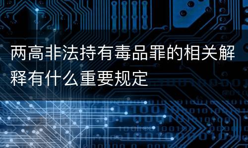 两高非法持有毒品罪的相关解释有什么重要规定