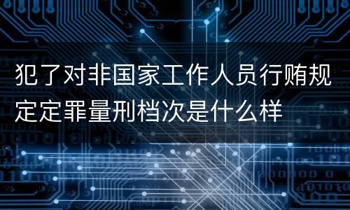 犯了对非国家工作人员行贿规定定罪量刑档次是什么样