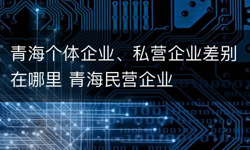 青海个体企业、私营企业差别在哪里 青海民营企业