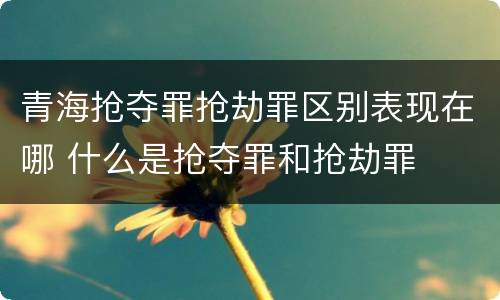 青海抢夺罪抢劫罪区别表现在哪 什么是抢夺罪和抢劫罪