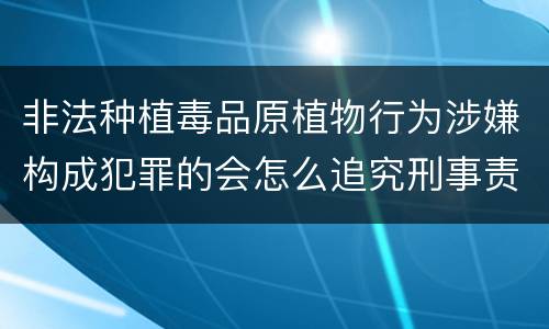 非法种植毒品原植物行为涉嫌构成犯罪的会怎么追究刑事责任