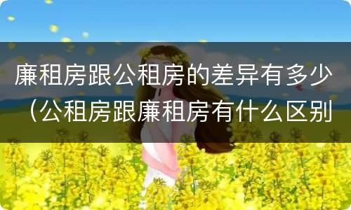 廉租房跟公租房的差异有多少（公租房跟廉租房有什么区别）