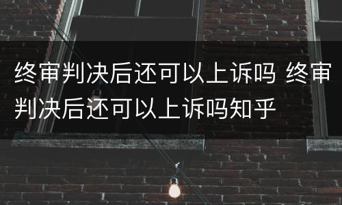 终审判决后还可以上诉吗 终审判决后还可以上诉吗知乎