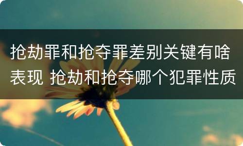 抢劫罪和抢夺罪差别关键有啥表现 抢劫和抢夺哪个犯罪性质严重