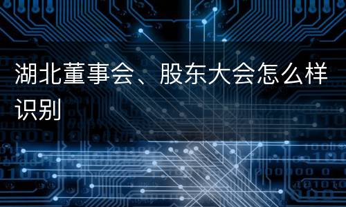 湖北董事会、股东大会怎么样识别