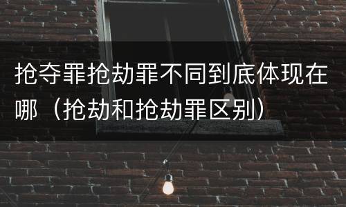 抢夺罪抢劫罪不同到底体现在哪（抢劫和抢劫罪区别）