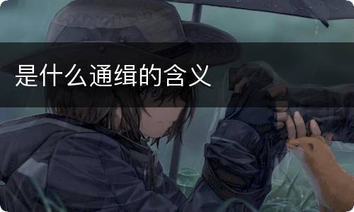 是什么通缉的含义