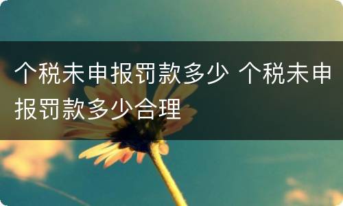 个税未申报罚款多少 个税未申报罚款多少合理